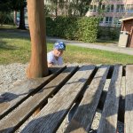 phoca_thumb_m_prvn dny v m krteci 11 Fotogalerie